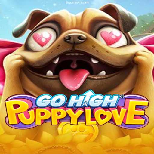 Exploring GoHighPuppyLove: The New Sensation in Brazilian Online Gaming